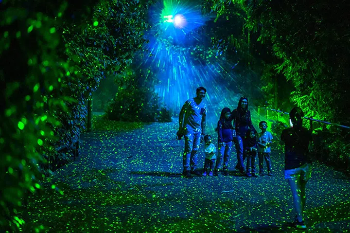 Singapore Zoo Rainforest Lumina 幻光雨林之夜