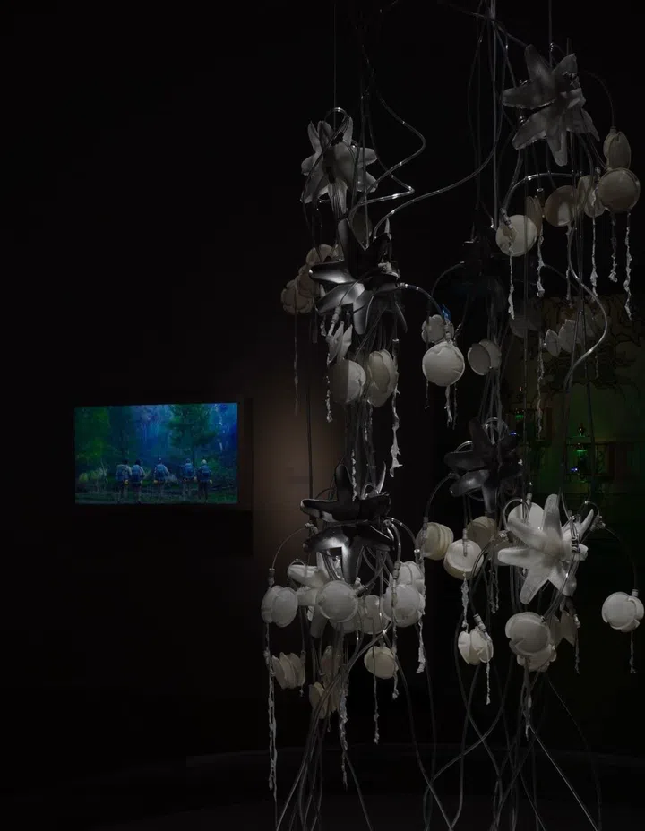 展示在ArtScience Museum 里的Latent