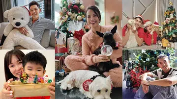 SG Celeb Xmas Da 本地明星 圣诞