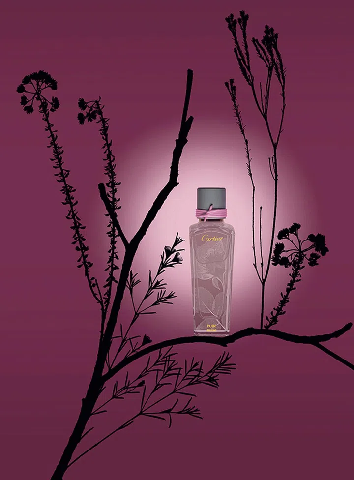 Cartier Les Epures de Parfum Pure Rose香氛 $395/75ml