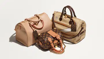 Louis Vuitton new special edition Monogram bag collections