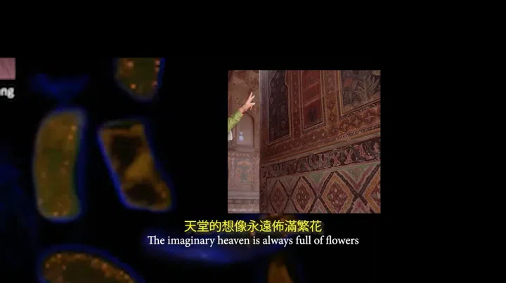 香港艺术家Lai Lai Natalie Lo影像作品《Rerooting Rebooting》