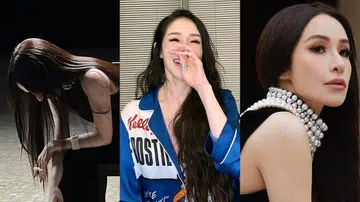 Elva Hsiao 萧亚轩