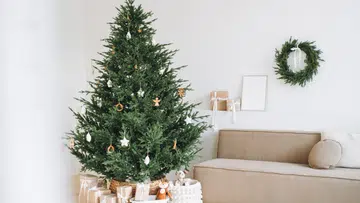 温馨的客厅里摆放着一棵装饰简单的天然圣诞树，树下放着礼物，旁边的浅色沙发和墙上的绿色花环营造出柔和干净的节日氛围。