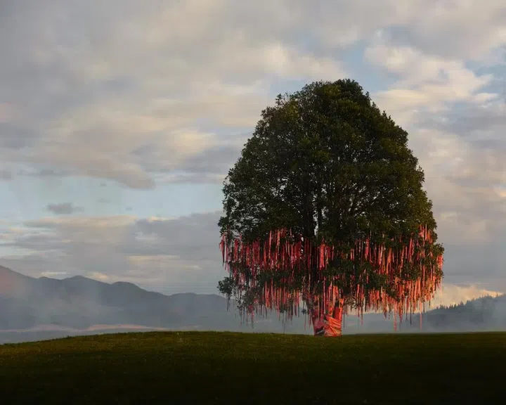 Celine以中国民间“许愿树”的传统为灵感，展开2026农历新年企划