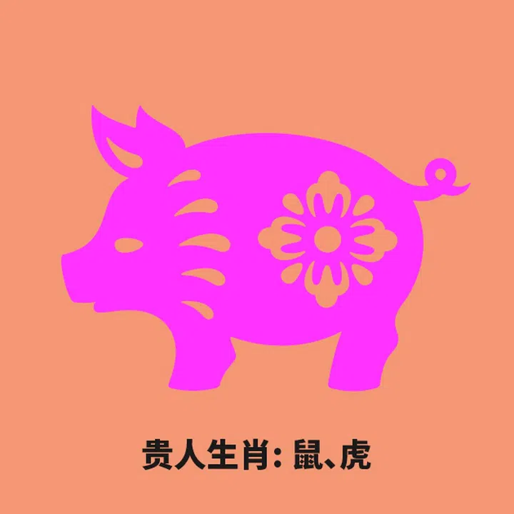 猪 贵人