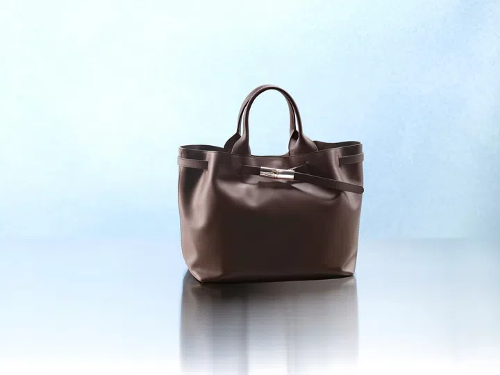 Longchamp Le Smart tote bag mocha