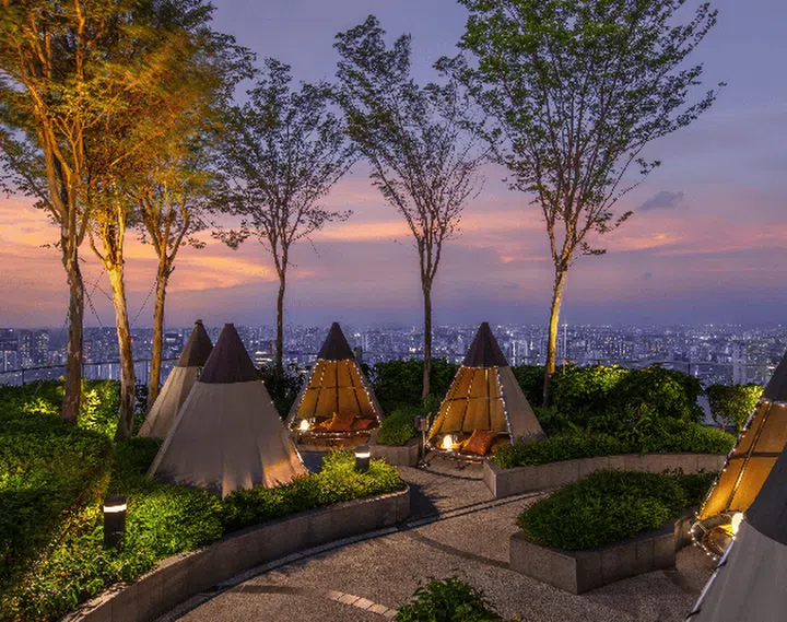 Mr Stock帐篷酒吧