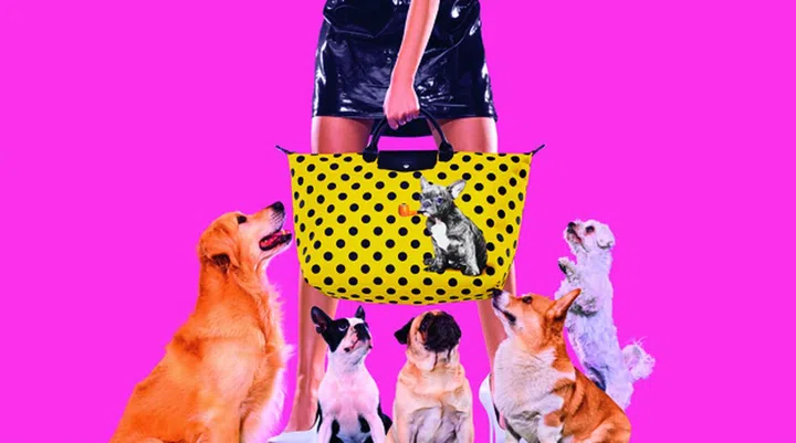 LONGCHAMP x TOILETPAPER