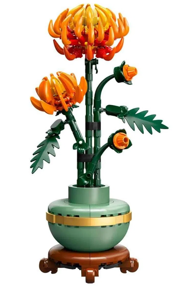 画面展示 LEGO Icons 黄金菊（Chrysanthemum，10368）积木盆栽模型。主体为一株盛开的菊花造型，花朵以橙色与黄色半透明积木层层堆叠，呈现立体放射状花瓣结构，视觉效果饱满。花茎与枝叶以深绿色积木拼接而成，叶片呈锯齿状轮廓，搭配数个尚未完全绽放的花苞细节。下方为圆形绿色花盆，外圈点缀金色装饰环，并置于深棕色底座上，使整体造型稳固且具有东方花艺风格。背景为纯白底，突出植物主体的颜色与层次。这款积木盆栽适合作为农历新年或日常居家空间的装饰摆设，也常被视为象征长寿与吉祥寓意的花卉造型。