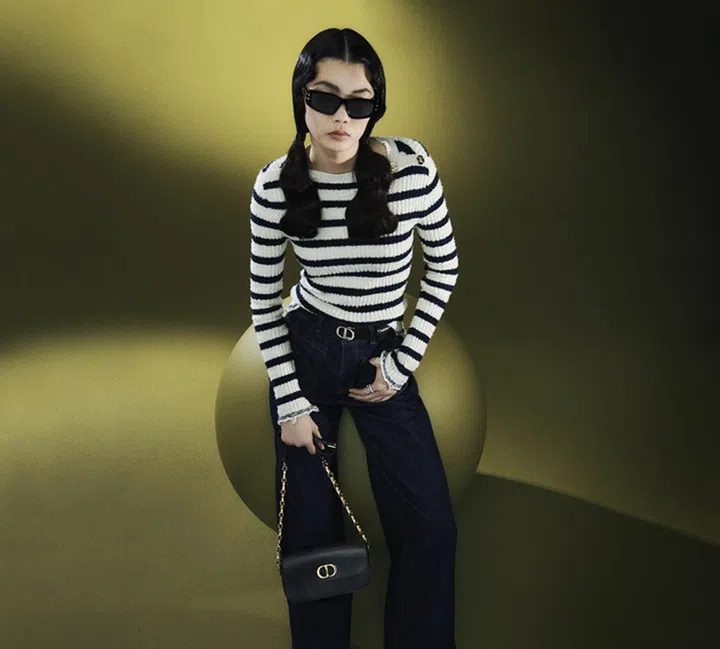 Dior 30 Montaigne Avenue皮革链袋