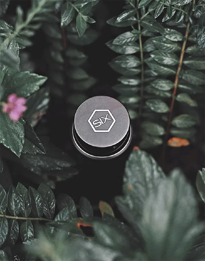 Six scents Jason Lee