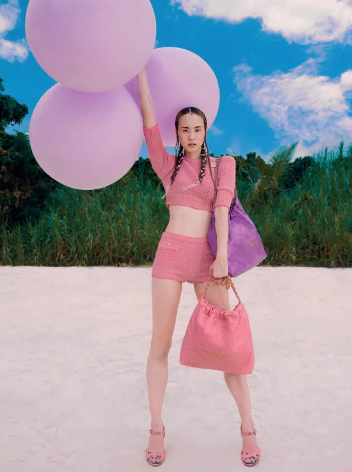 Chanel 22 bag 手袋