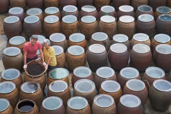 两位酱油职人站在一排排大型陶甕之间，手中托着装有发酵豆料的竹篮，周围的酱缸排列整齐，表面覆盖玻璃板，阳光洒下，呈现南洋传统酿造场景。