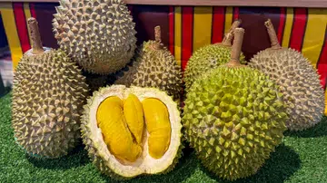 金黄饱满的榴莲果肉在摊位上亮相，是榴莲控在榴莲自助餐最期待的画面。