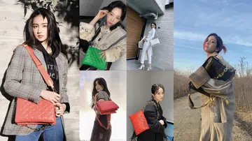 Louis Vuitton Coussin手袋 明星 celebrity