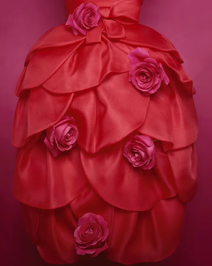 由Yves Saint Laurent于1959年设计的Dior春夏高定Rose Rouge红色礼服