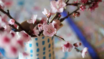 一束粉色系春季花枝插在白底蓝点陶瓷花瓶中，花朵盛开与含苞交错，花瓣细致柔嫩，枝干自然延伸向画面右侧。背景以浅色虚化处理，带有柔和的彩色斑点与一支模糊的蓝色笔状物体，整体营造出温柔清新的春日氛围，适合作为新年居家布置与年花装饰示意图。