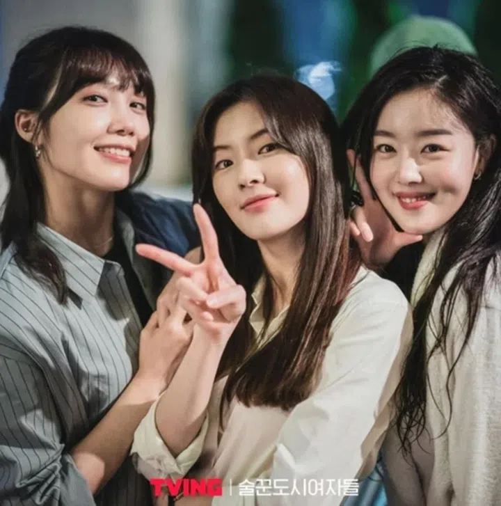 韩剧《酒鬼都市女人们》