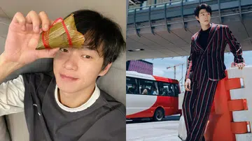 姐姐们都爱的宝藏男孩魏大勋