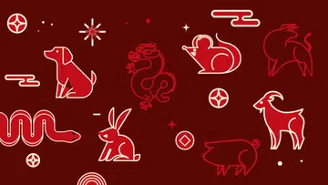 多多靠近你的马年贵人生肖