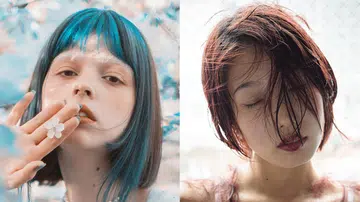 2025生肖适合发色