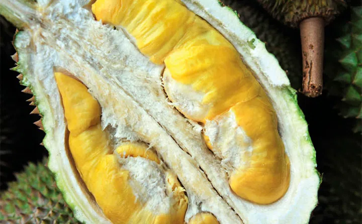 图: The Straits Times