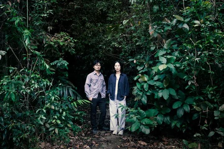 seeing forest 次森林