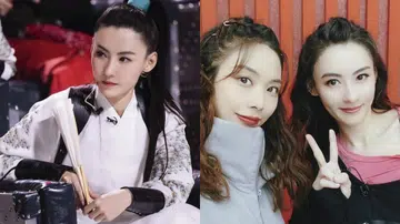 张柏芝 乘风破浪的姐姐