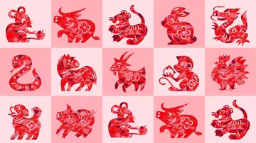 马年的运势如何？听风水大师的金句提点！