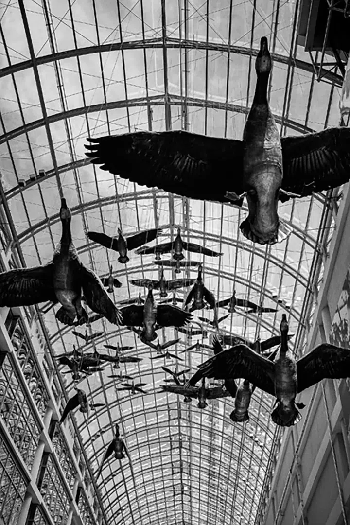 Financial District. Quartier Old Toronto. Toronto. Canada.