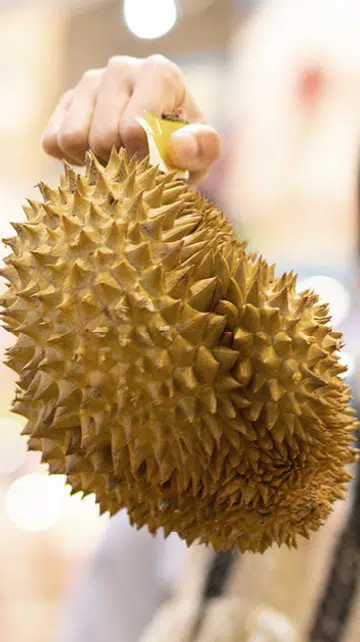 一位女子在榴莲摊前挑选榴莲，手中举着带刺的榴莲，背景是模糊的室内市场环境。