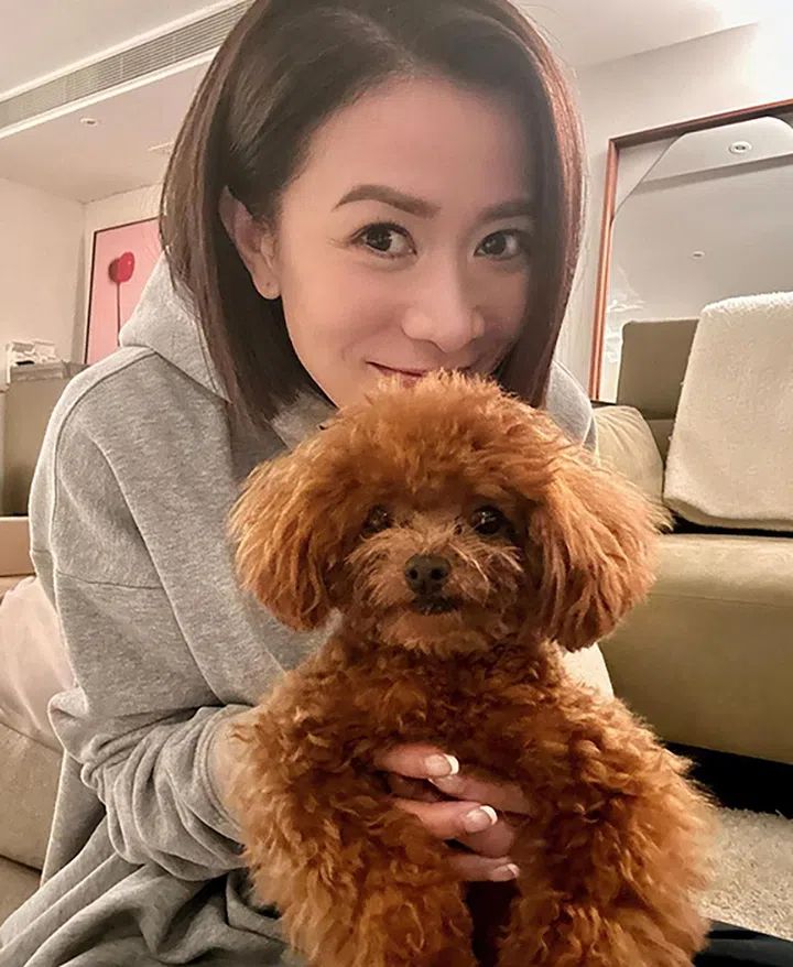 Charmaine Sheh 佘诗曼