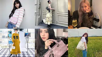 女星it手袋 持续走红 celebrity it bags