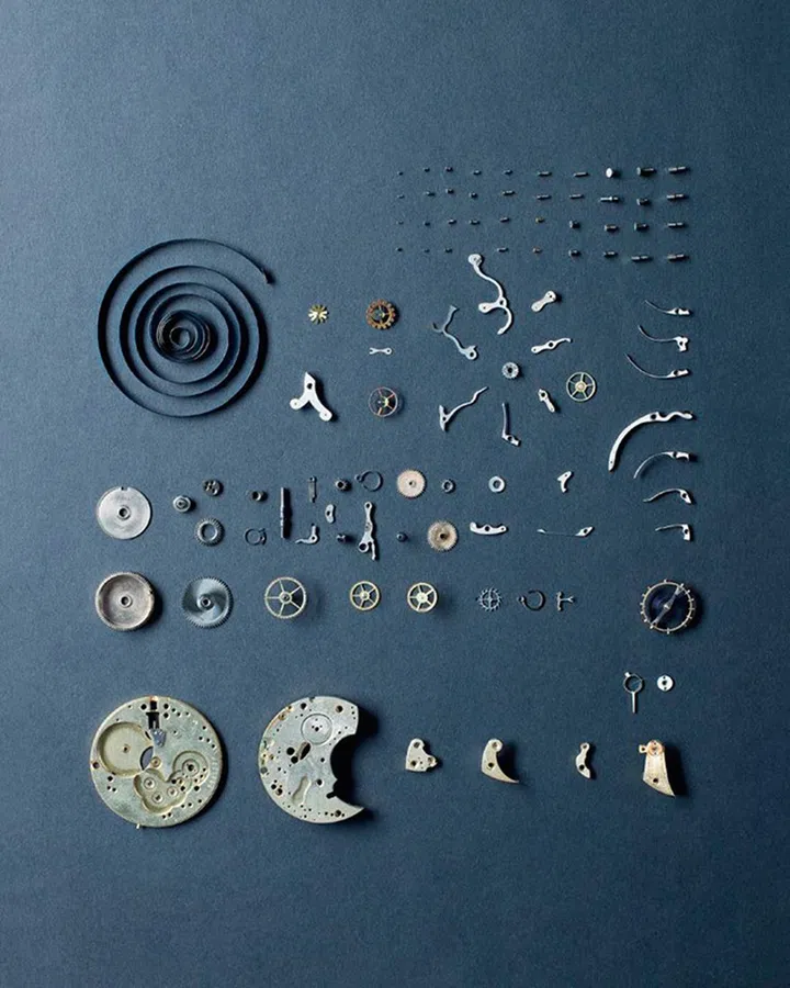 Watch investment tips 名表投资 贴士