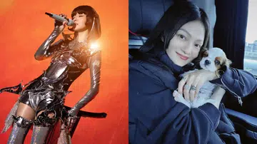 Angela zhang 张韶涵