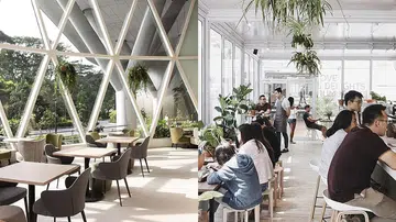 Glasshouse Cafe 新加坡 咖啡馆