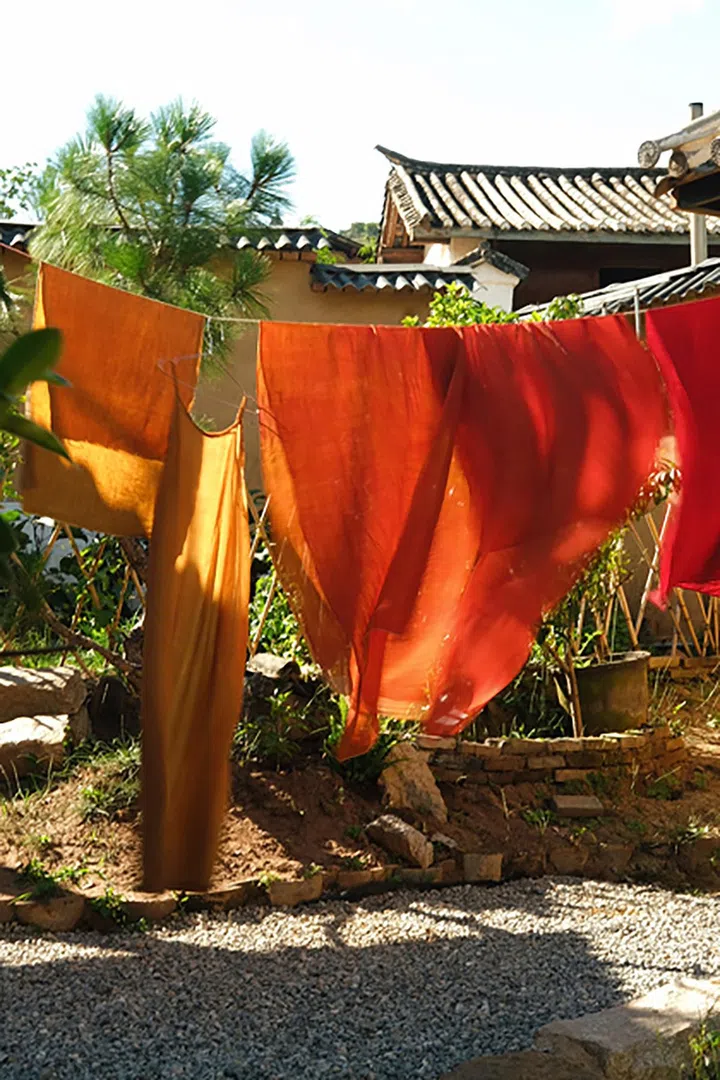 Created with RNI Films app. Profile 'Agfa Optima 200'