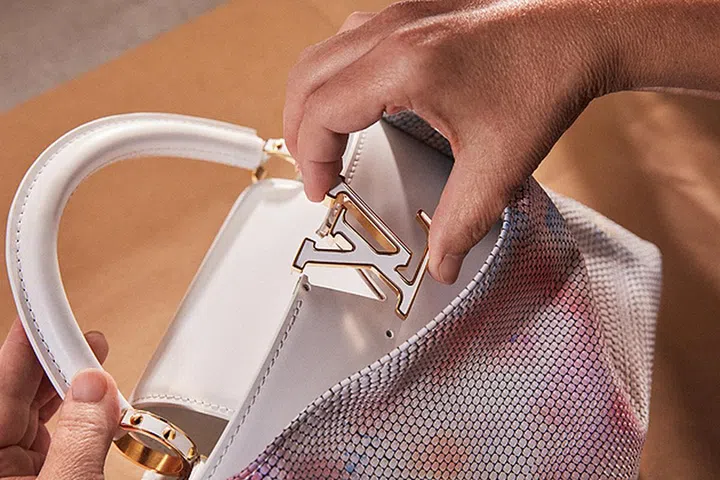 LV ArtCapucines 手袋