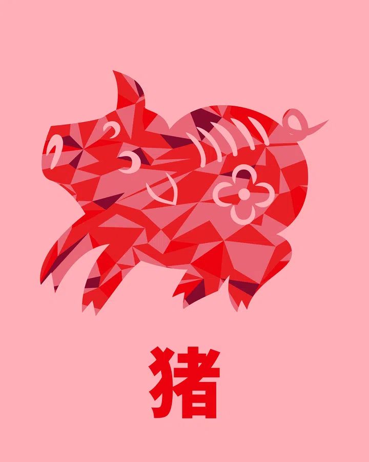 马年生肖运势——猪