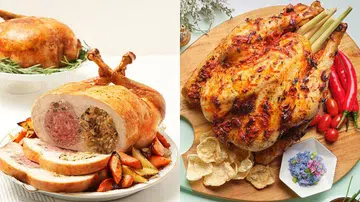 2021 christmas Turkey 圣诞火鸡