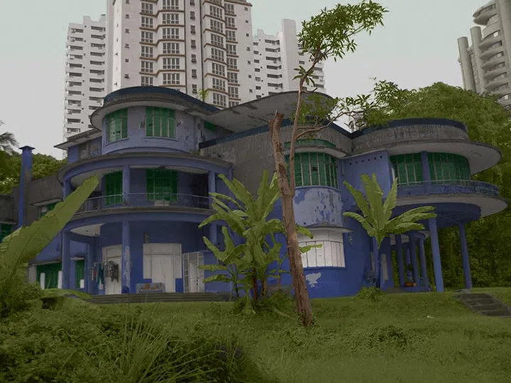 OLYMPUS DIGITAL CAMERA