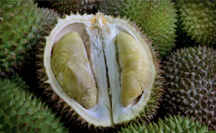 图: The Straits Times