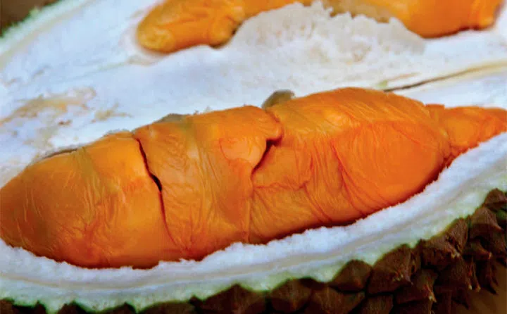 图: The Straits Times