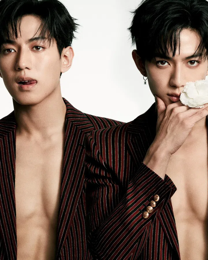 CELINE jacket (POA)，lapel pin $1,450，earrings $760