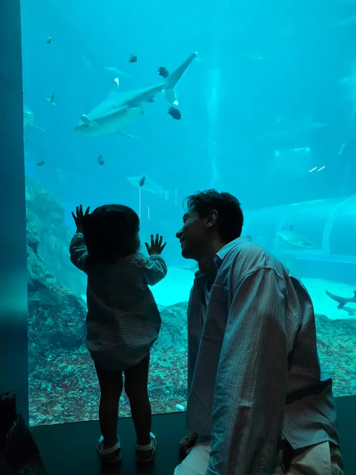 陈泂江穿着浅蓝条纹衬衫，陪着女儿在大型水族馆前观赏海洋生物。女儿双手贴在玻璃上兴奋地看着游过的鲨鱼与鱼群，父女俩都穿着相似色调的衣服，画面温馨动人。陈泂江独家专访。
