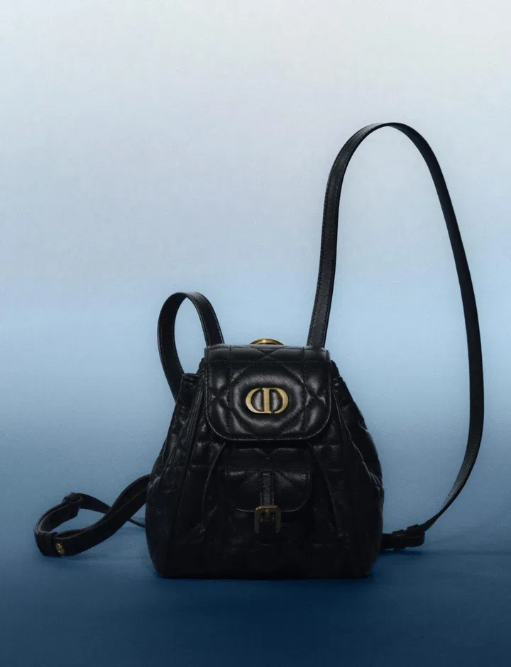 Dior Caro Nano皮革背包