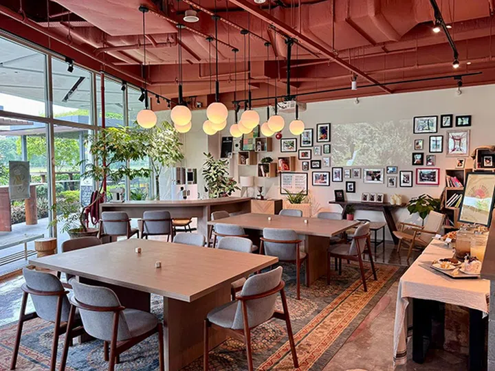 Guerilla Coffee新加坡宠物友好咖啡馆