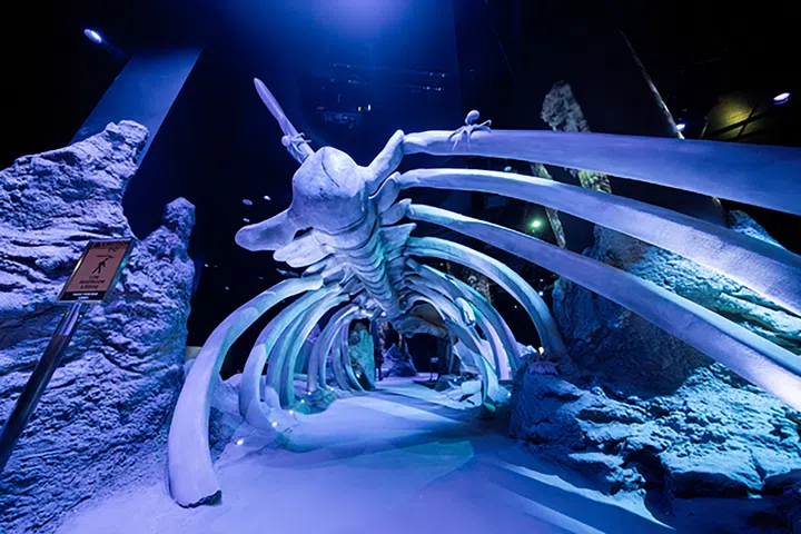 走进馆内，你可以在巨型观景窗前与成群色彩斑斓的鱼群和优雅的魔鬼鱼面对面，在互动装置和多媒体体验中“潜入”深海，认识生活在珊瑚礁、深海甚至新加坡沿岸的海洋生物；探索由科研启发的艺术装置和特别展览，在玩乐中了解海洋保育的意义。在新加坡去哪里玩？新加坡好玩推荐