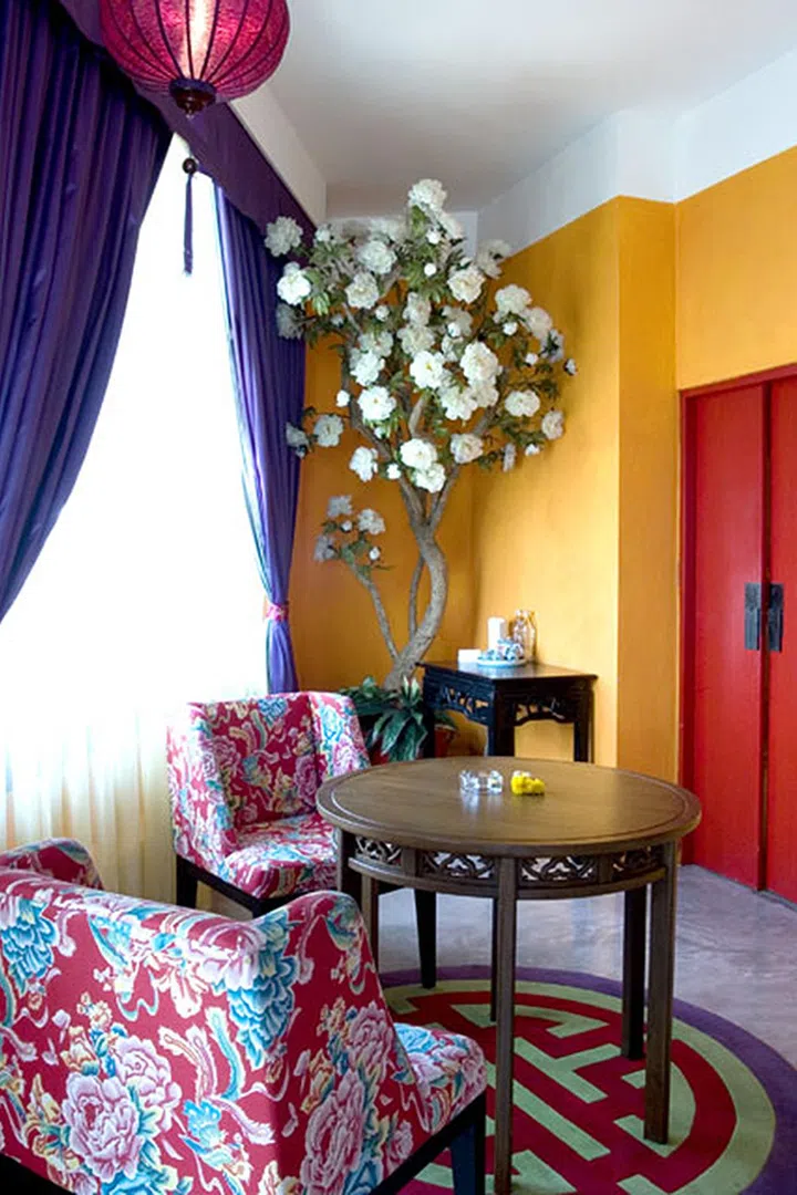 农历新年，除了梅花以外，牡丹花也是不错的选择